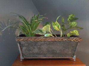 WOOD WITH WICKER PLANTER