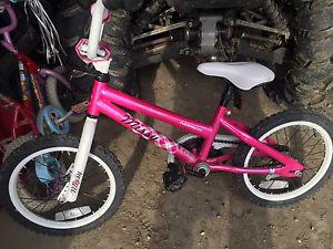 Wanted: 16" Norco Lil Missy