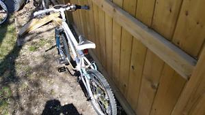 Wanted: bike