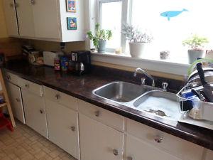 kitchen sink and faucet and countertop