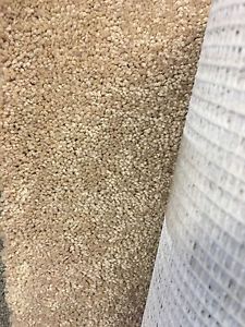 4.8x6 plush carpet remnant