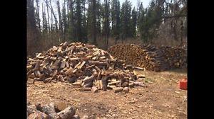 Camp firewood