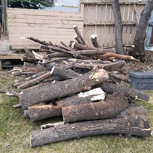 FREE FOR LOG, FIRE WOOD