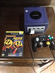 GameCube with paceman game