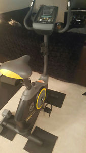 Golds Gym Bike