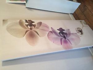 PJÄTTERYD Picture, orchid spectrum, Ikea