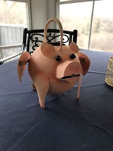 Piggy Watering Pot