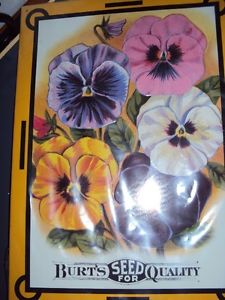 Tin Sign, pansies, great for the garden fence or entrance,