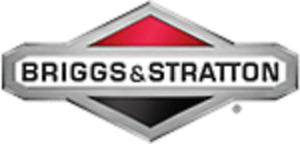 Wanted: Wanted - Briggs and Stratton engine