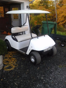  Electric Golf Cart