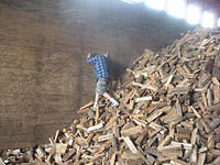 Firewood delivery hardwoods dried and split ready to burn