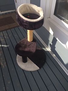 Free cat tower