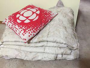 Free - could make a great dog bed?