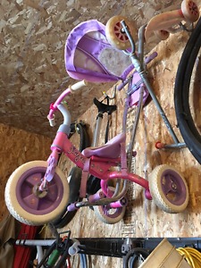 Girls tricycle with canopy