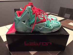 Nike Lebron 12 Xmas shoes size 13.5 VNDS