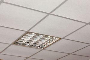 Super Sale on Ceiling Grids 10% OFF & Free Eye Lags (