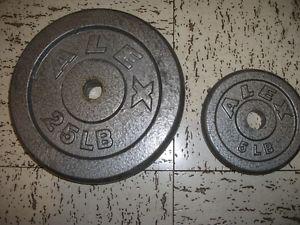 Two 25lb metal barbell plates and two 5 lb metal plates for