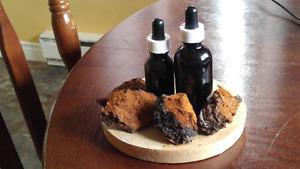 chaga and tinctures for sale