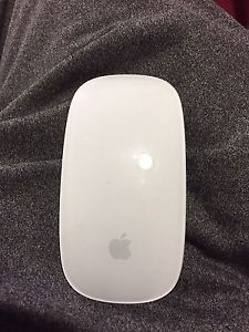 Apple Mouse