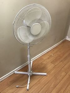 Fan for sale