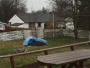 Free split wood, picnic table and benches, 3 wooden doors