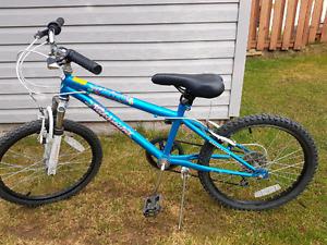 Girls bike