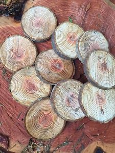 Rustic natural wood slices