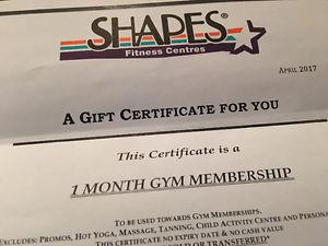 Shapes one month membership &bag