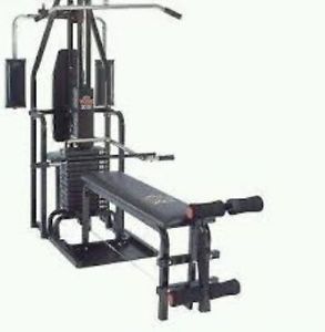 York  Gym System