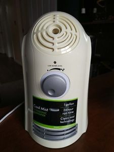 cool mist humidifier