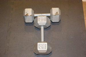 2-25 pound weights