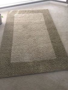 5'x7' semi shag rug