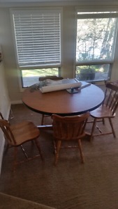 A table, 4 chairs and a couch (150 total)