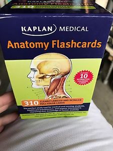 Anatomy Flashcards