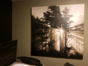 Beautiful 4 foot by 4 foot Canvas!