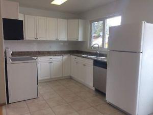 Complete Kitchen for Sale