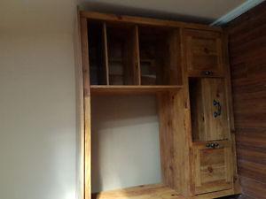 Entertainment Unit