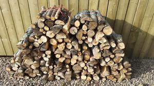 Firewood Bundles for Sale