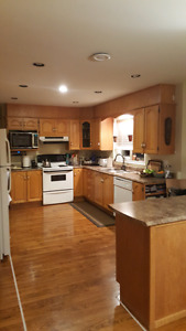 Oak kitchen cabinets and countertop