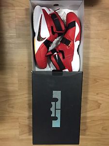 Wanted: Lebron Soldier 9 Basketball shoe size 10