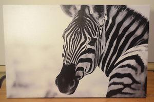Zebra Canvas Print Wallart