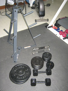 metal weights dumbbells and rack
