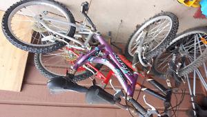 2 bikes for $20
