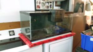 2 fish aquariums forsale