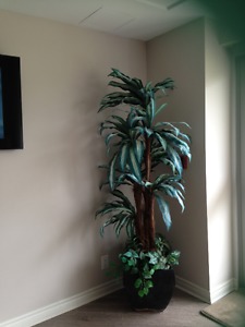 6 foot silk plant (height includes standing pot)