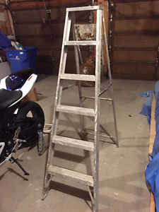 6Ft Aluminum Ladder