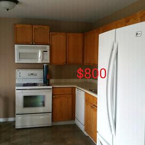 Full set of solid oak kitchen cabinets with countertop,