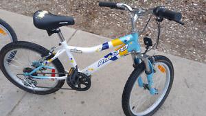 Girls 20 Inch Bike