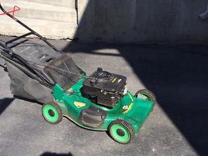 Lawn mower, 22 inch, 4.5 HP, Cranbrook