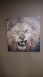 Lion canvas picture